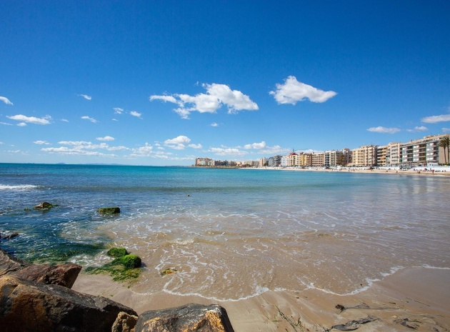 Återförsäljning - Lägenhet - Torrevieja - Nueva Torrevieja