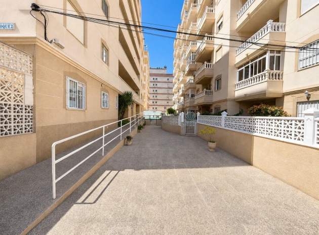 Wederverkoop - Appartement - Torrevieja - Nueva Torrevieja