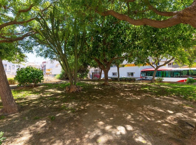Återförsäljning - Lägenhet - La Mata - Beachside La Mata