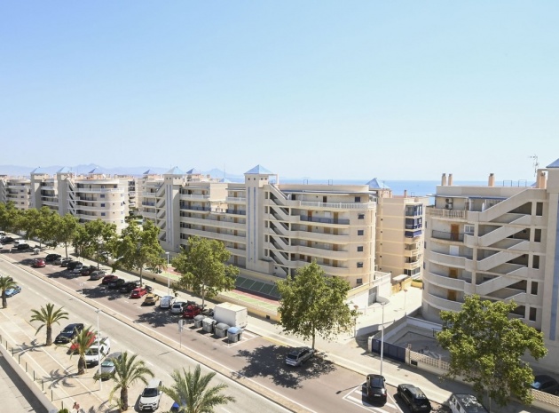 Wiederverkauf - Wohnung - Elche - Arenales del Sol