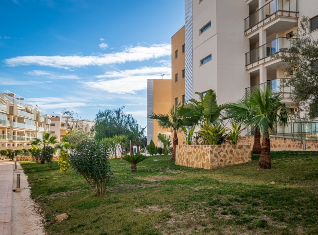 Återförsäljning - Lägenhet - Villamartin - Los Dolses