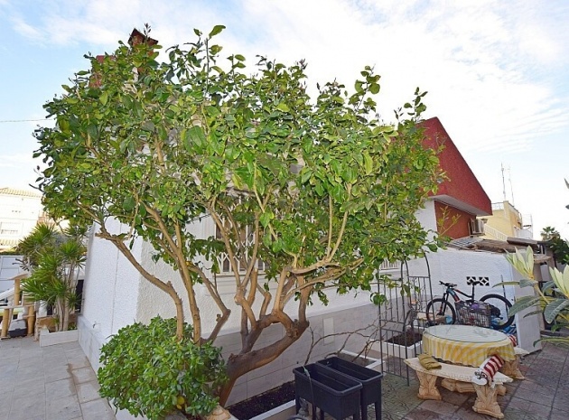 Wiederverkauf - Villa - Torrevieja - Torrevieja Centro