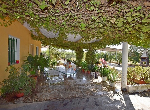 Resale - Villa - Albatera - Albatera Centro