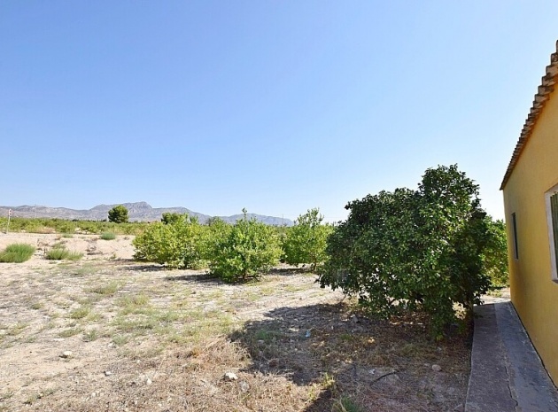 Resale - Villa - Albatera - Albatera Centro
