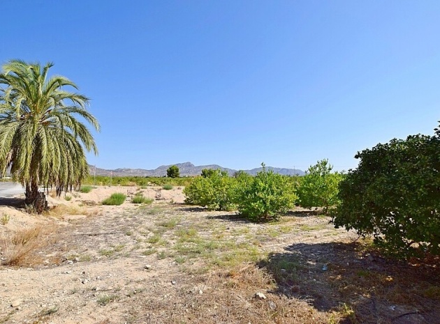 Resale - Villa - Albatera - Albatera Centro