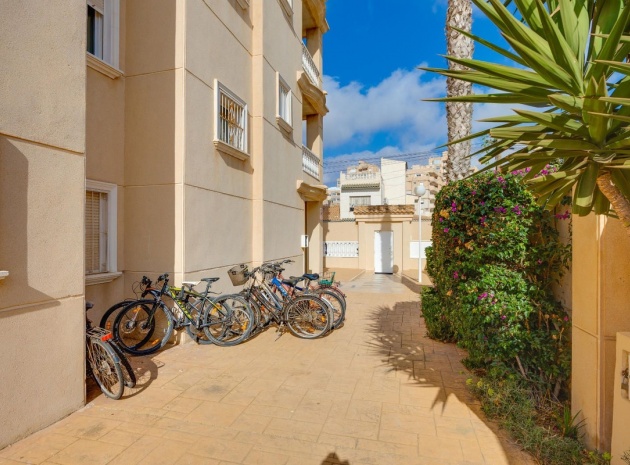 Revente - Appartement - Torrevieja - Torrevieja Centro