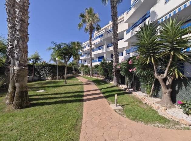Wederverkoop - Appartement - Orihuela - Punta Prima