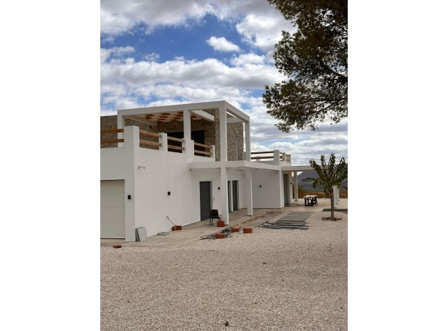 Nybyggnad - Villa - Pinoso - Comunidad Valenciana