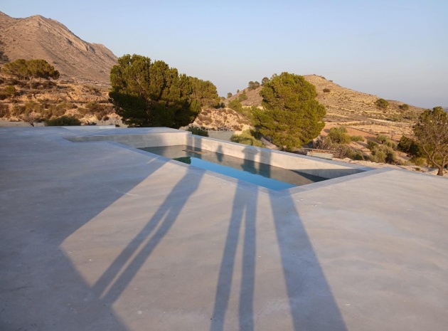 Nybyggnad - Villa - Pinoso - Comunidad Valenciana