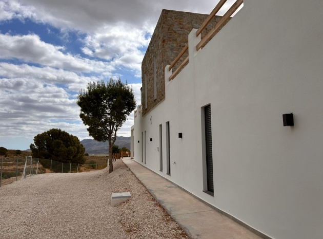 Nybyggnad - Villa - Pinoso - Comunidad Valenciana