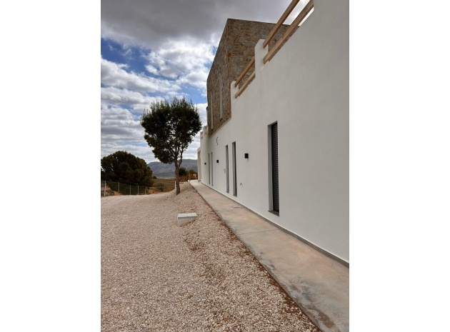 Nybyggnad - Villa - Pinoso - Comunidad Valenciana