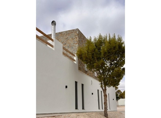 Nybyggnad - Villa - Pinoso - Comunidad Valenciana