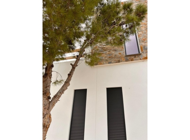 Nybyggnad - Villa - Pinoso - Comunidad Valenciana