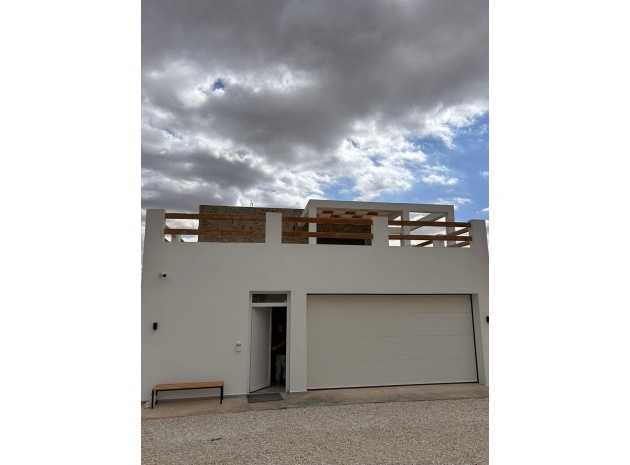 Nybyggnad - Villa - Pinoso - Comunidad Valenciana