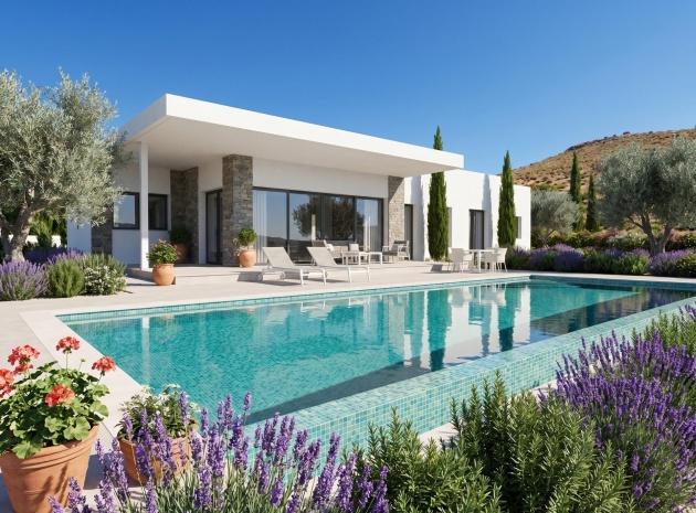 Nybyggnad - Villa - Pinoso - Comunidad Valenciana