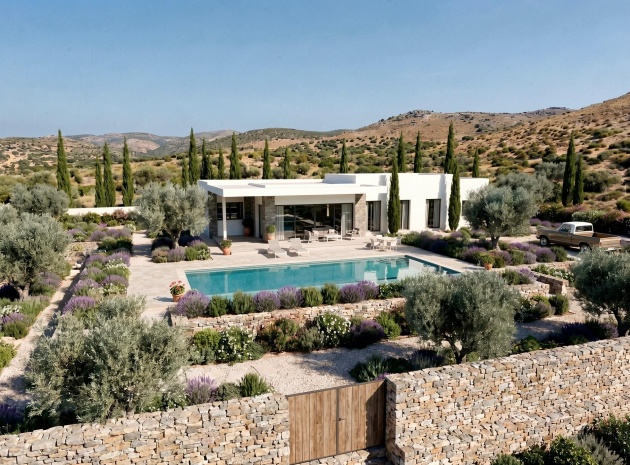 Nybyggnad - Villa - Pinoso - Comunidad Valenciana