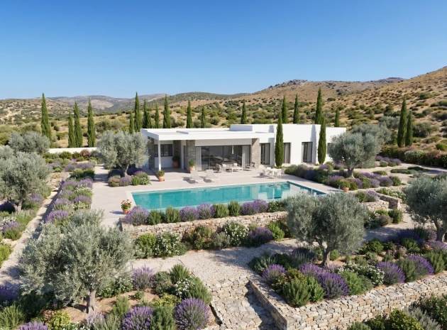 Nybyggnad - Villa - Pinoso - Comunidad Valenciana