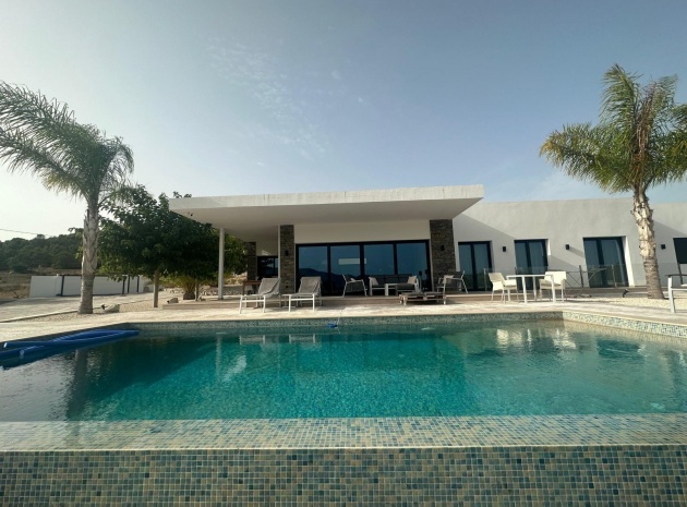 Nybyggnad - Villa - Pinoso - Comunidad Valenciana