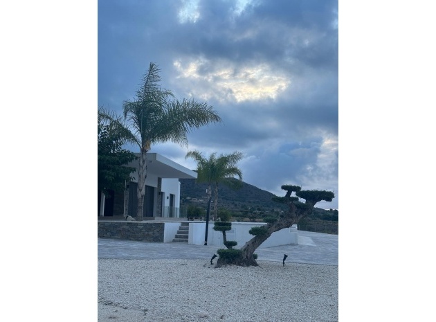 Nybyggnad - Villa - Pinoso - Comunidad Valenciana