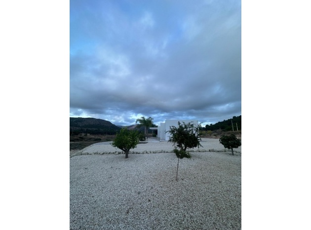 Nybyggnad - Villa - Pinoso - Comunidad Valenciana