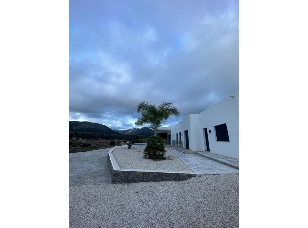 Nybyggnad - Villa - Pinoso - Comunidad Valenciana
