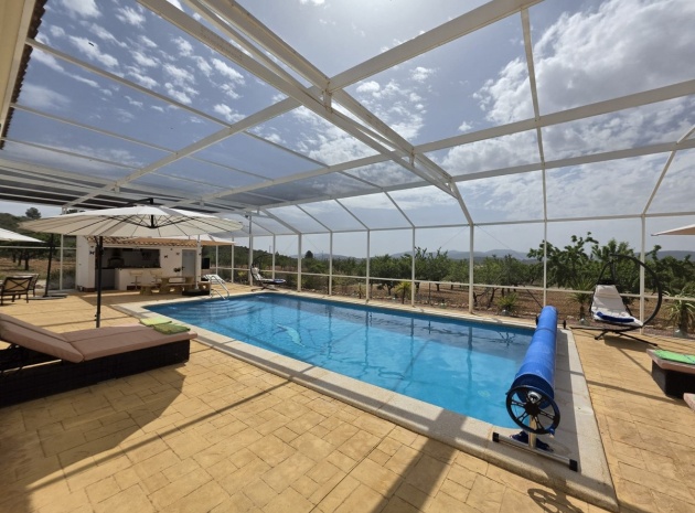Återförsäljning - Villa - Pinoso - Lel