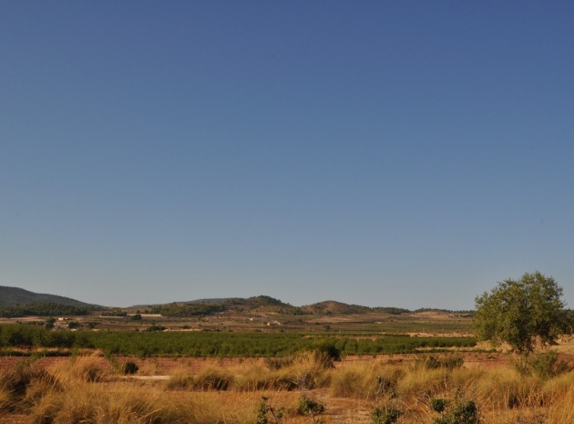 Återförsäljning - Country Property - Pinoso - Pinoso Centro