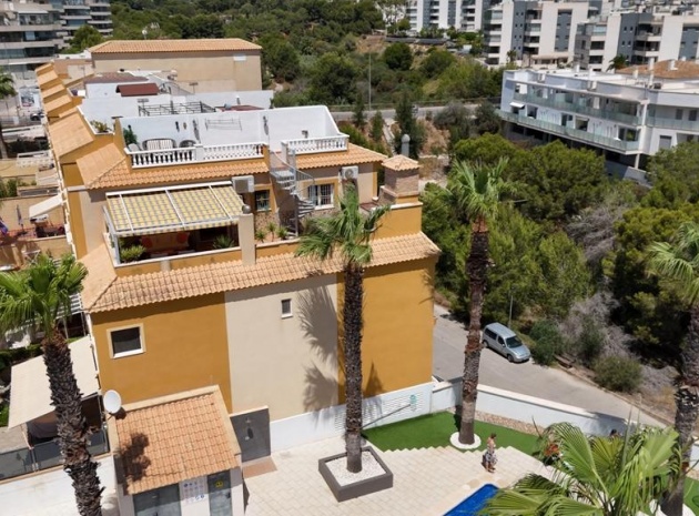 Wiederverkauf - Wohnung - Villamartin - Los Dolses