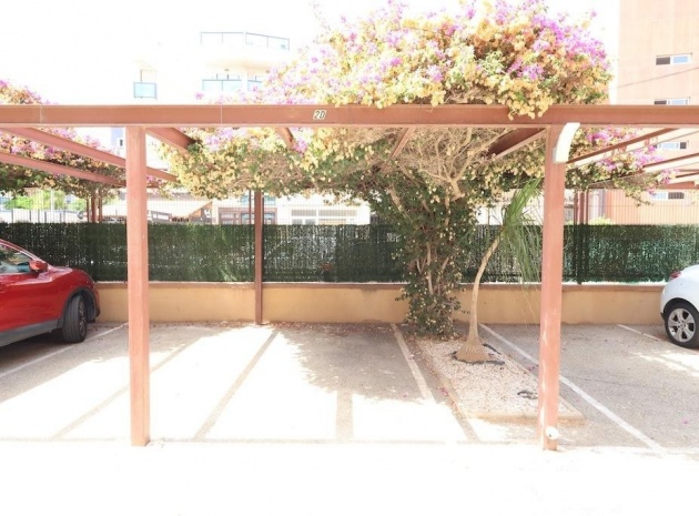 Wiederverkauf - Wohnung - Orihuela - La Regia