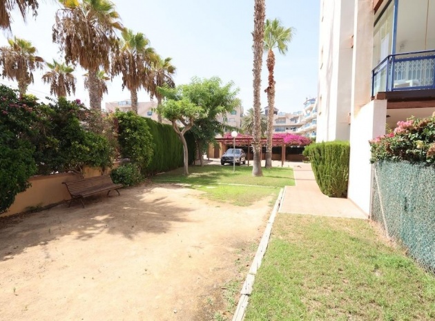 Wiederverkauf - Wohnung - Orihuela - La Regia