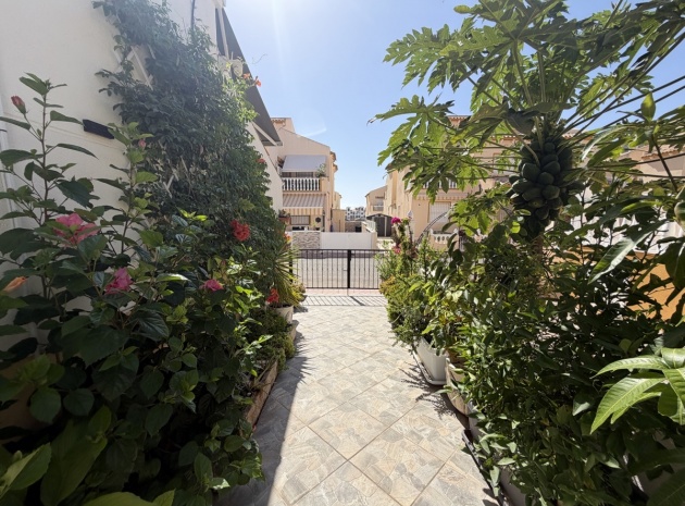 Återförsäljning - Villa - Punta Prima - los naranjos