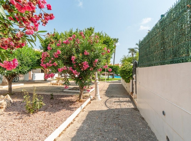 Wiederverkauf - Wohnung - La Mata - torre blanca