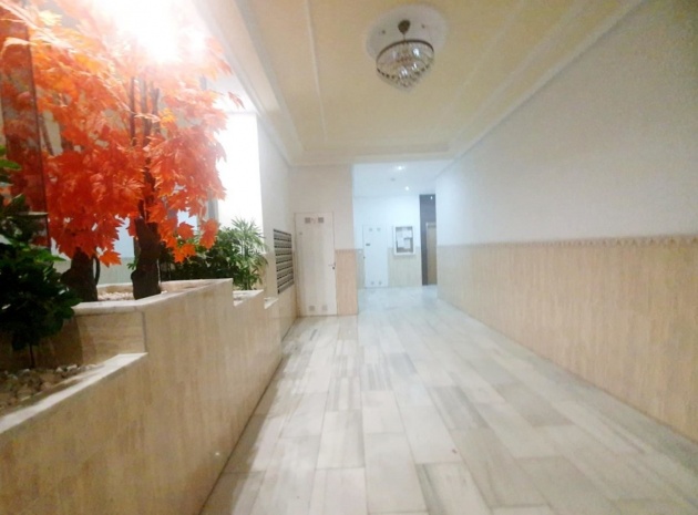 Wiederverkauf - Wohnung - Torrevieja - Torrevieja Centro