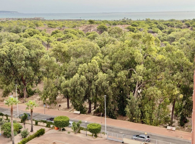 Resale - Apartment - Guardamar del Segura
