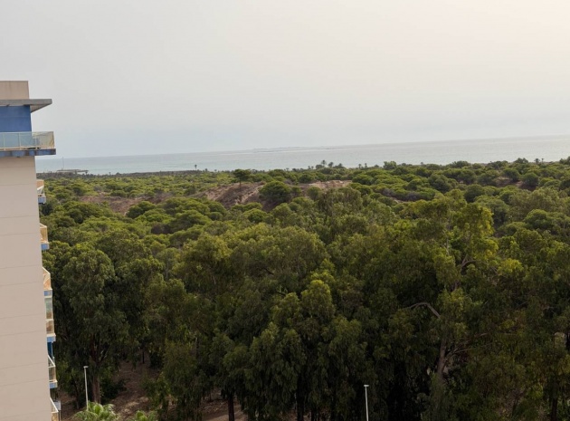 Resale - Apartment - Guardamar del Segura