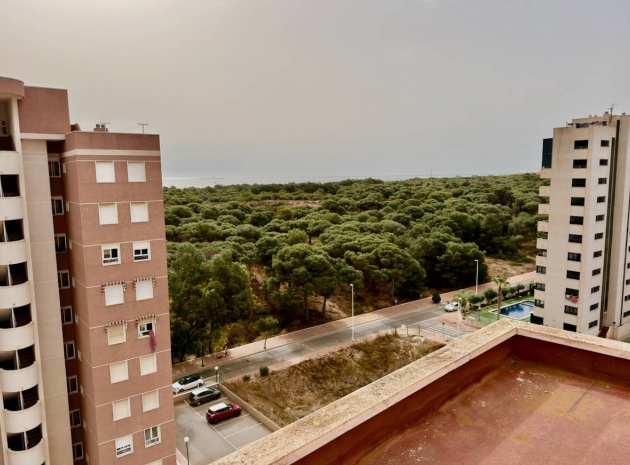 Resale - Apartment - Guardamar del Segura