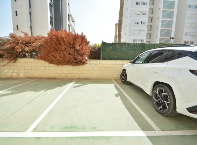 Resale - Apartment - Guardamar del Segura - Guardamar del Segura Centro