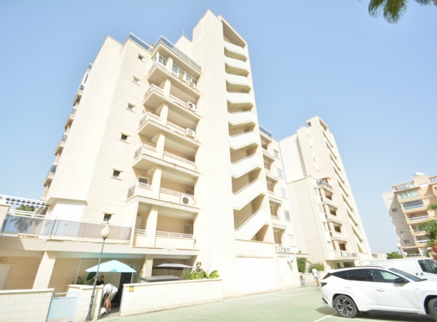 Resale - Apartment - Guardamar del Segura - Guardamar del Segura Centro
