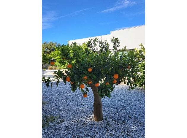 Återförsäljning - Villa - Orihuela - Orihuela Centro