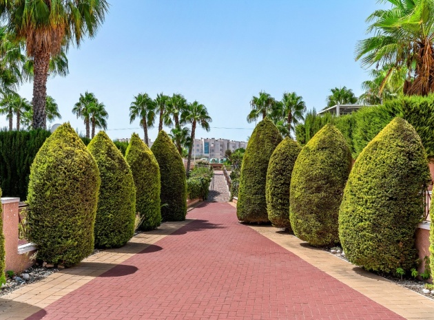 Resale - Apartment - Orihuela - Playa Flamenca