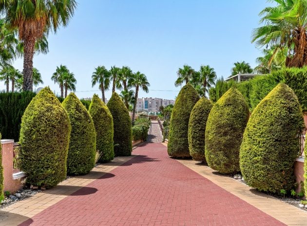 Revente - Appartement - Playa Flamenca - Laguna Golf