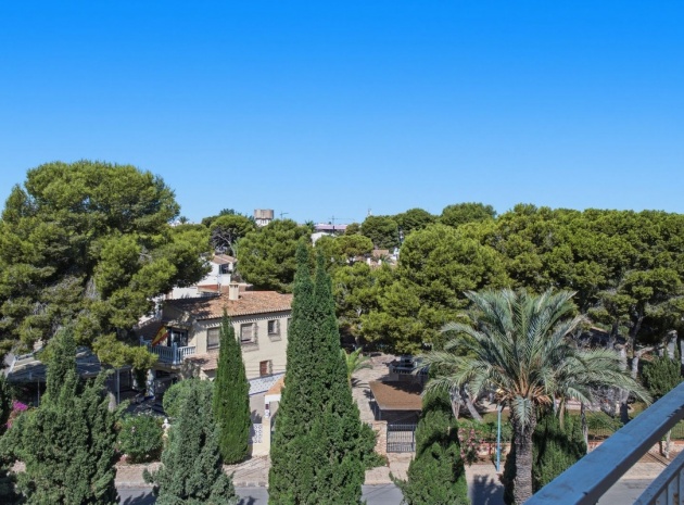 Wiederverkauf - Wohnung - Orihuela - Punta Prima
