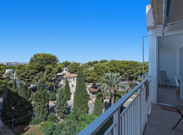 Wiederverkauf - Wohnung - Orihuela - Punta Prima