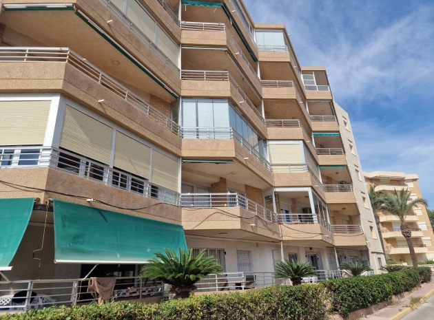 Wiederverkauf - Wohnung - Guardamar del Segura - Beach Guardamar
