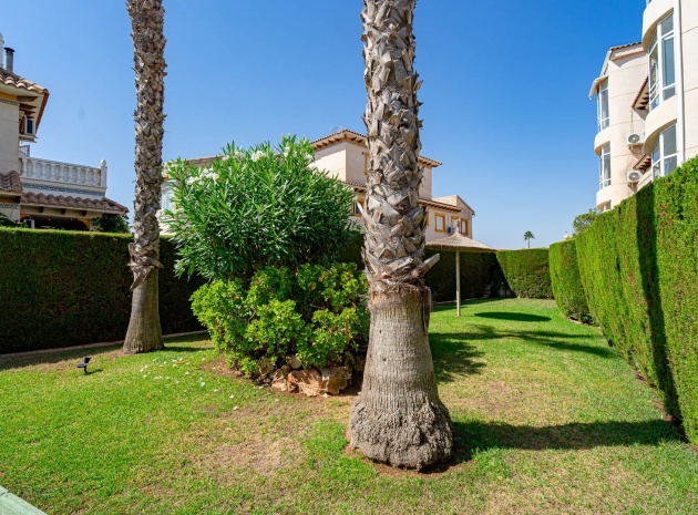 Revente - Appartement - Punta Prima - la campana
