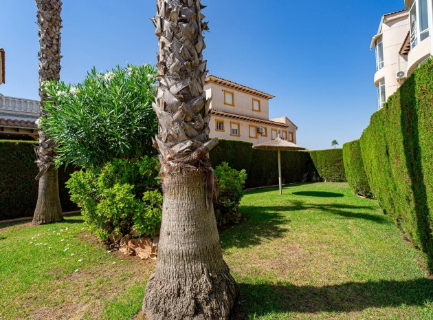 Revente - Appartement - Punta Prima - la campana
