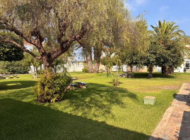 Revente - Appartement - Playa Flamenca - las chismosas