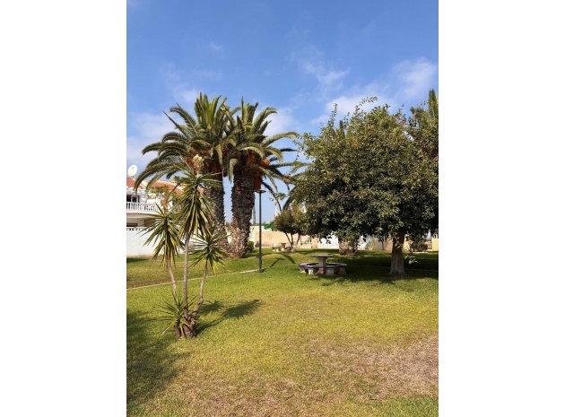 Revente - Appartement - Playa Flamenca - las chismosas