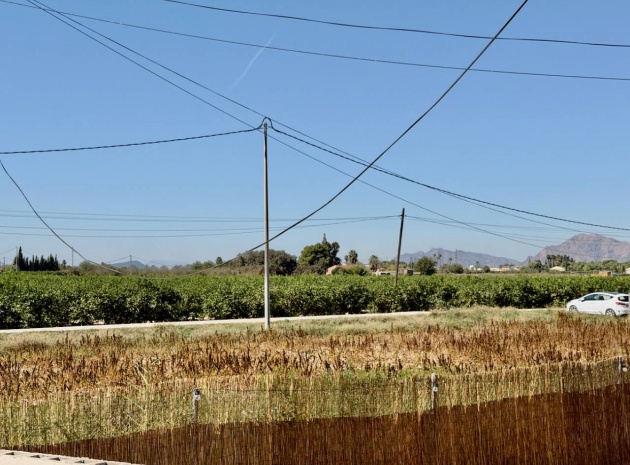 Wiederverkauf - Country Property - Dolores - Comunidad Valenciana