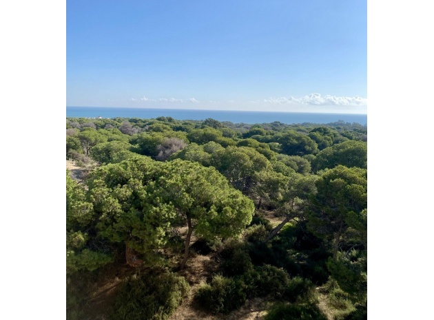 Nybyggnad - Lägenhet - Guardamar del Segura - Centro